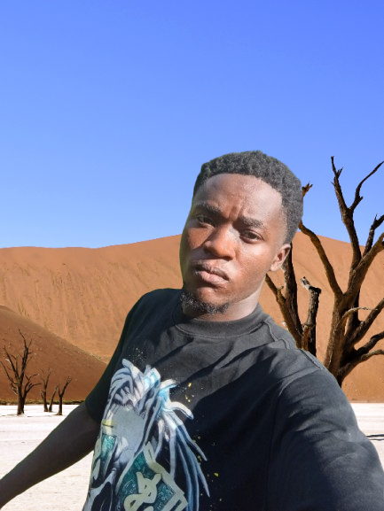 SEKA ALVIN